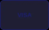 VISA信用卡支付方式图标